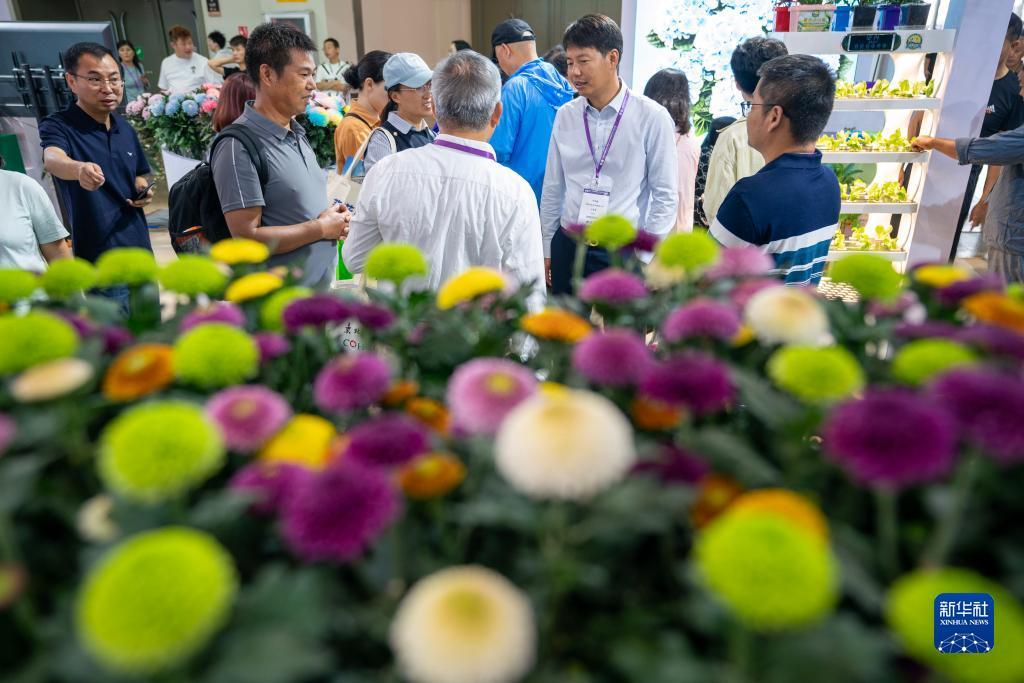 天9国际首页登录